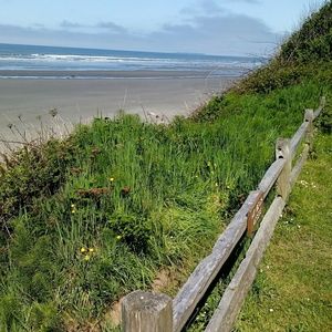 Meet your Posher, Kassie